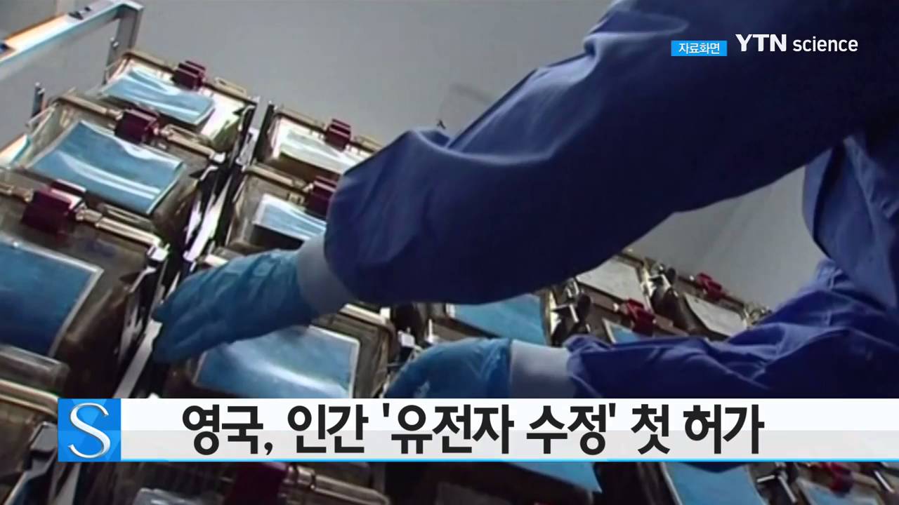 [사이언스 TV] 英, 영국, 인간 초기배아 '유전자 수정' 첫 허가