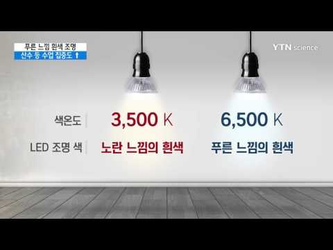 [사이언스 TV] 푸른 느낌 흰색 조명 쓰면 산수 잘 푼다
