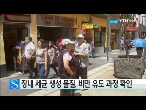 [사이언스 TV] 장 속 세균이 만든 물질, 비만 유도 과정 확인