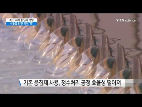 [사이언스 TV] 녹조 효율적 처리…수돗물 안전 걱정 '뚝'