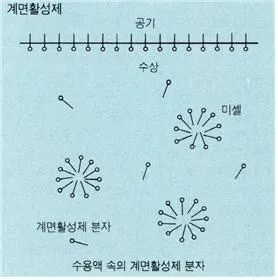 계면 활성제[surfactant / surface-active agent, 界面活性劑]