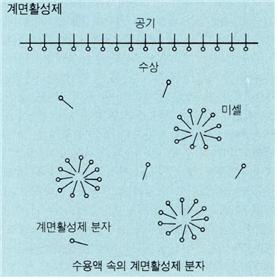 계면활성제1