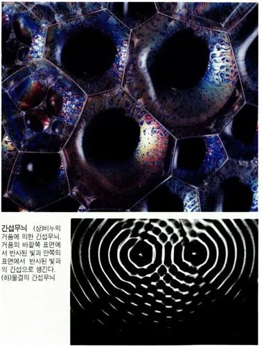간섭무늬(interference fringe, 干涉─)