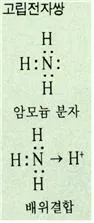 고립전자쌍[lone pair, 孤立電子雙]
