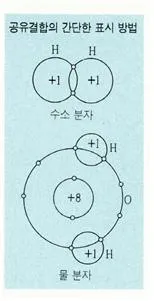 공유결합[covalent bond, 共有結合]