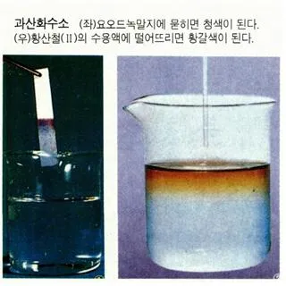 과산화수소[hydrogen peroxide, 過酸化水素]