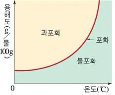 과포화[supersaturation, 過飽和]