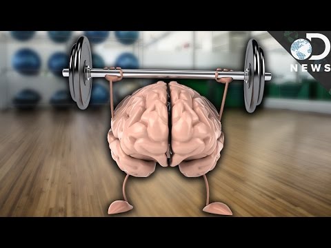 기억력 향상 훈련은 어떻게 할까?
