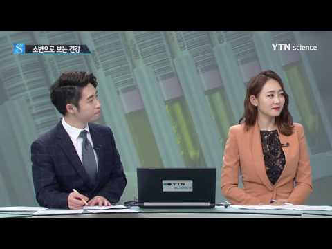 [사이언스 TV] 여름철 잦은 소변, 건강 이상 징후일까