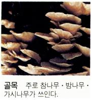 골목