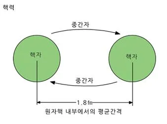강한 상호작용(strong interaction, 强─相互作用 )