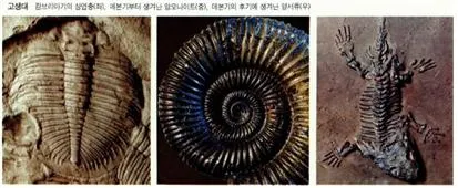 고생대 [Paleozoic Era, 古生代]