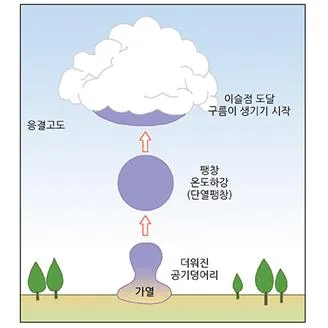 고적운 [altocumulus, 高積雲]