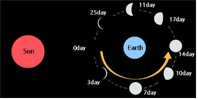 공전 [revolution, 公轉]