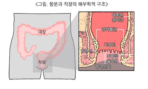 괄약근