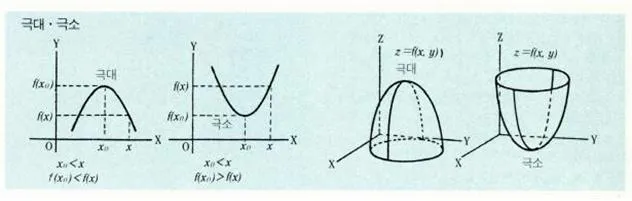 극대·극소 [relative maximum;relative minimum, 極大極小]