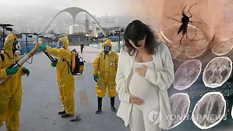 [사이언스타임즈] “지카발생국 방문후 6개월간 피임”