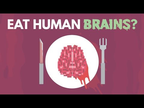 인간의 뇌를 먹으면 어떻게 될까?