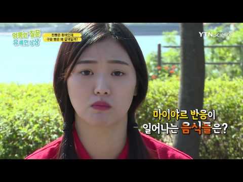 찐빵은 흰색인데 구운 빵은 왜 갈색일까?