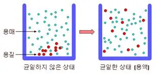 균일 혼합물 [homogeneous mixture / uniformed mixture, 均一混合物]