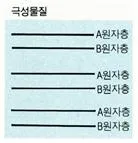 극성 [polarity, 極性] 