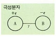 극성 분자 [polar molecule, 極性分子]
