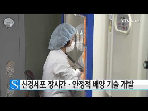 [사이언스 TV] 신경세포 장시간·안정적 배양 기술 개발