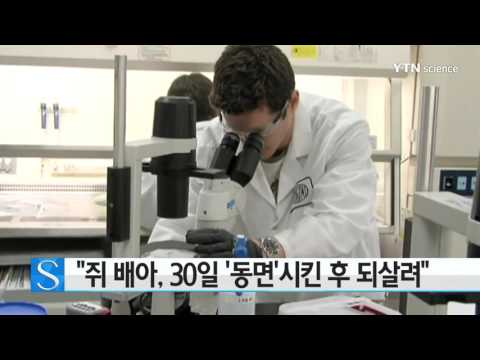 [사이언스 TV] 쥐 배아, 30일 '동면'시킨 후 되살려