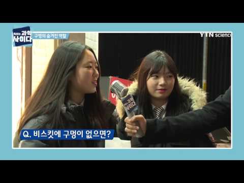 구멍의 숨겨진 역할