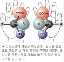 광학이성질체