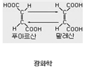 광화학