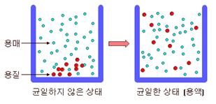 균일 혼합물