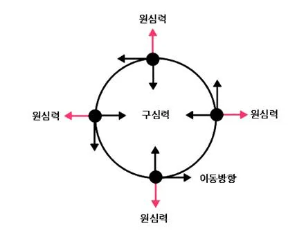 구심력 [centripetal force, 求心力]
