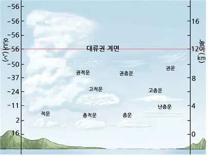 권적운 [Cirrocumulus, 卷積雲]