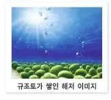 규조토 [diatomaceous earth, 硅藻土]