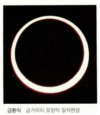 금환식(annular eclipse / ring eclipse)