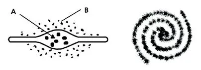 나선팔(spiral arm)