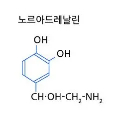 노르아드레날린(noradrenalin)