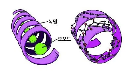 녹말(starch, 綠末)