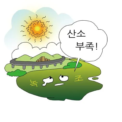 녹조(green tide, 綠潮)