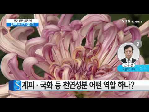 [사이언스 TV] 계피·국화 등 천연 성분으로 집먼지 진드기 잡는다