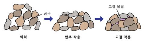 교결작용