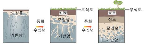 기반암