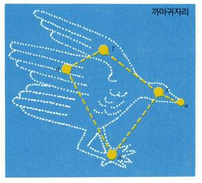 까마귀자리
