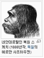 네안데르탈인