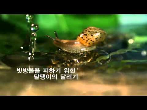 1초