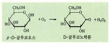 글루코오스산화효소 [glucose oxidase, -酸化酵素]