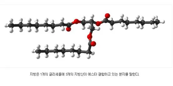 글리세롤 (glycerol)
