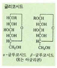 글리코시드 (glycoside)
