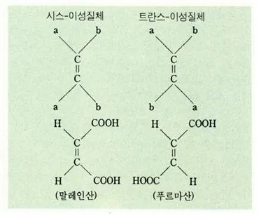 기하이성질체현상[geometrical isomerism, 幾何異性質體現象]